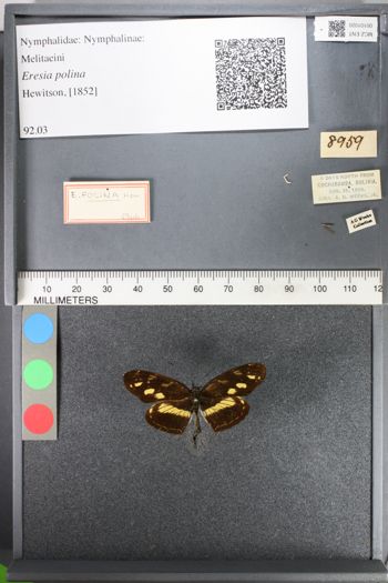 Media type: image;   Entomology 101020